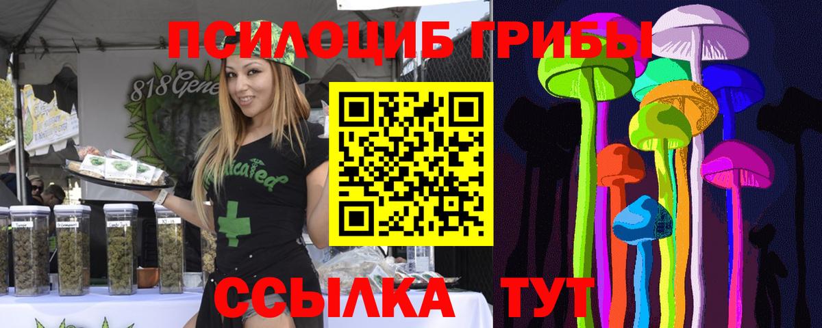 Псилоцибиновые грибы мицелий Балашов